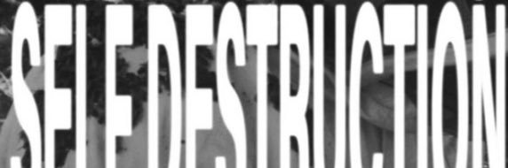 peccxatore's profile banner image