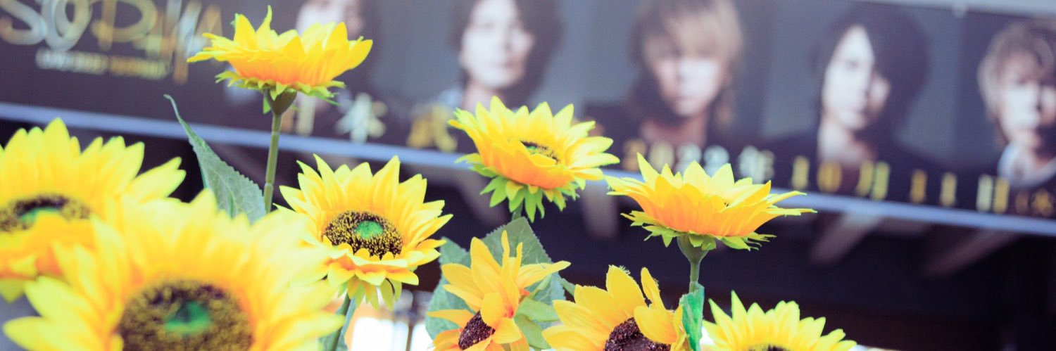 sunflower3me's profile banner image