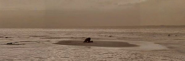 5nfo__ Profile Banner