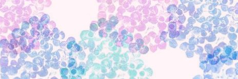 latte_lapin's profile banner image