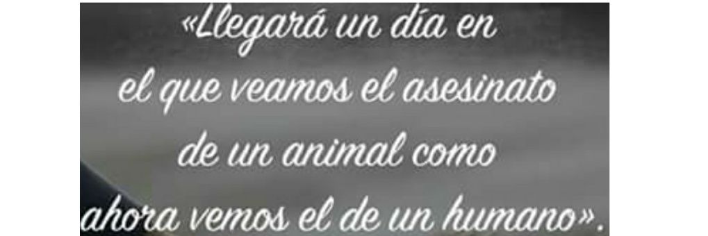 Flor__Franco's profile banner image
