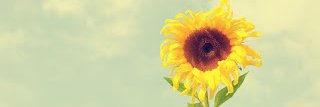 Guffrinahnf's profile banner image