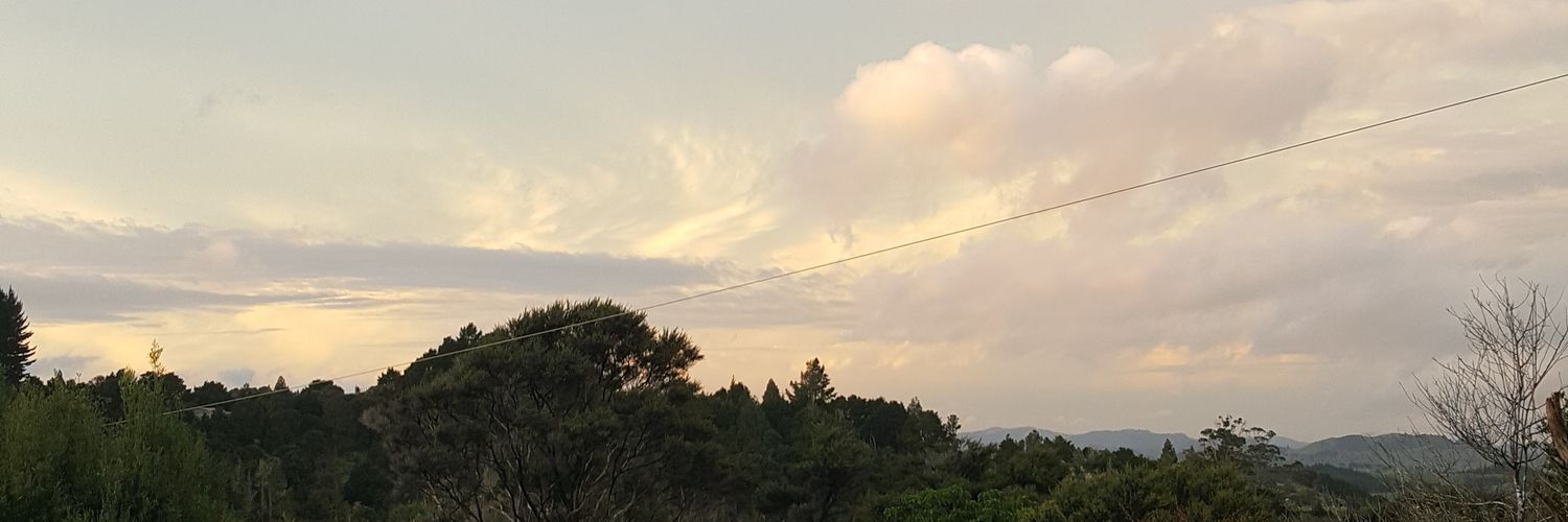 punchand_'s profile banner image