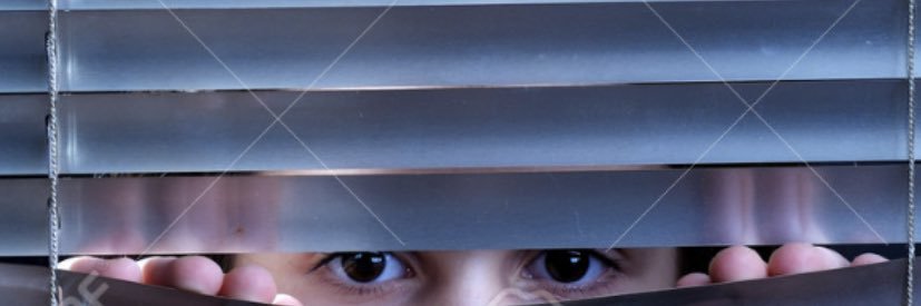 Andrea Bellolio banner