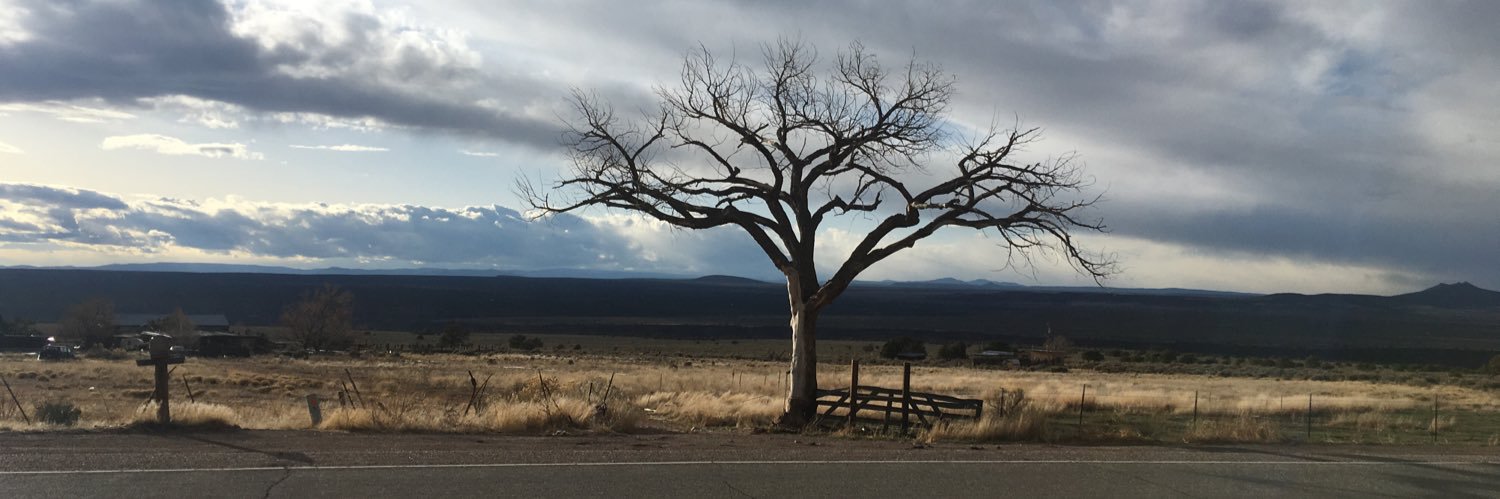 seanjohnson's profile banner image