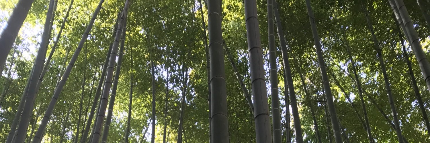 mekkou's profile banner image