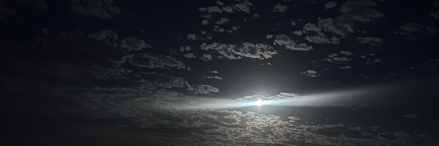 whosbitelle's profile banner image