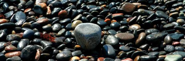 petranx Profile Banner