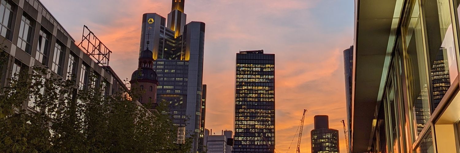 flamingosocken's profile banner image