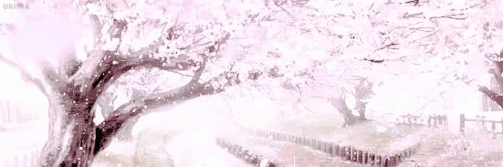 talyn banner