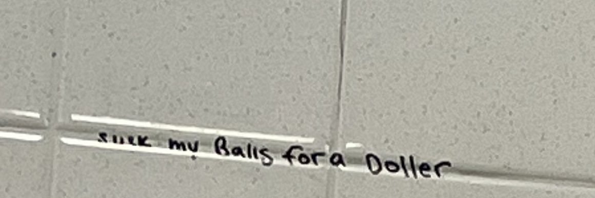 dani banner