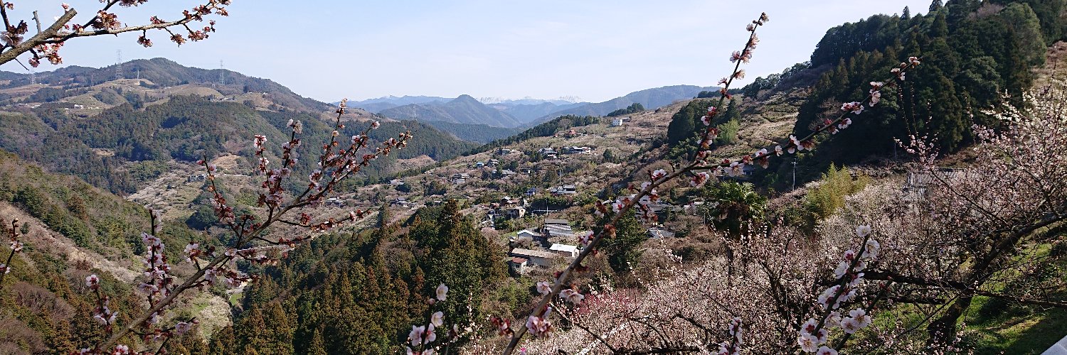 😻K M💙💛 banner