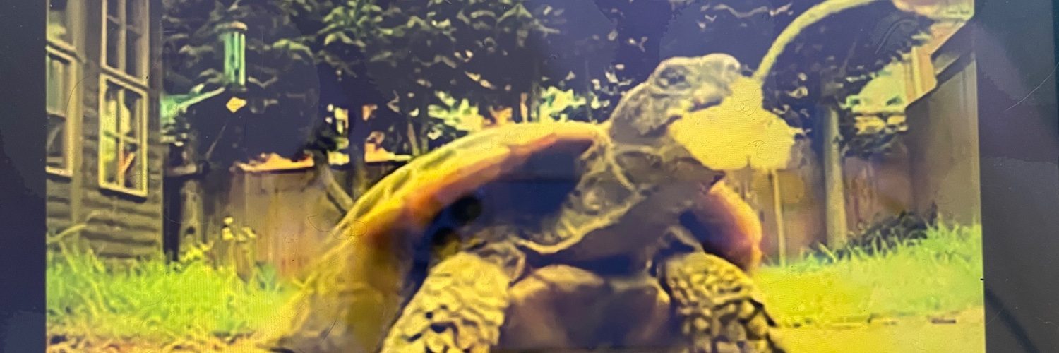 cuppabuts's profile banner image