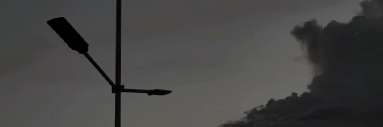zim son 🦠 banner