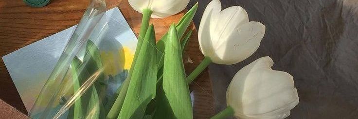loupie banner