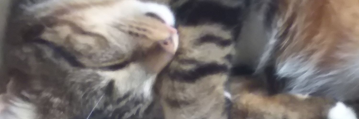 MrJames4u's profile banner image