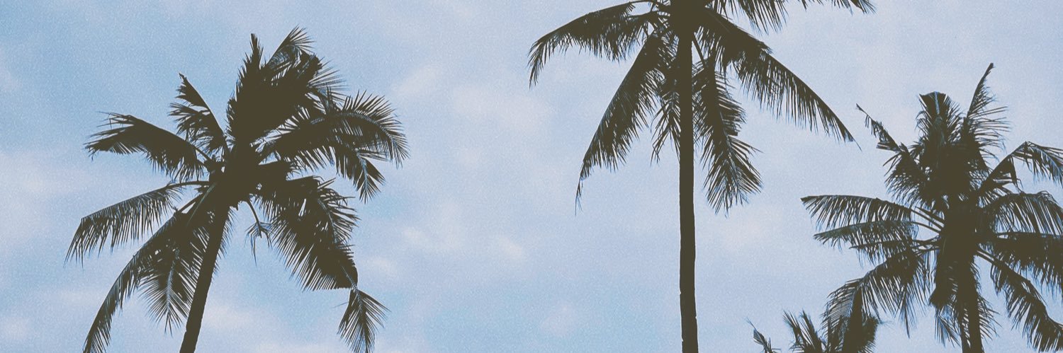 opannkk's profile banner image