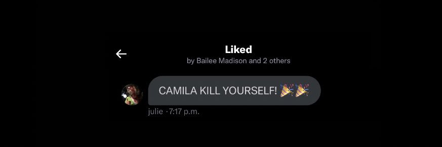 camila ✮ banner