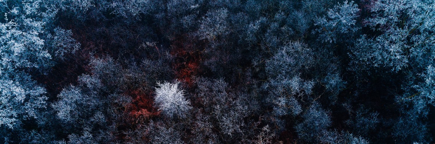 oscarlee_'s profile banner image
