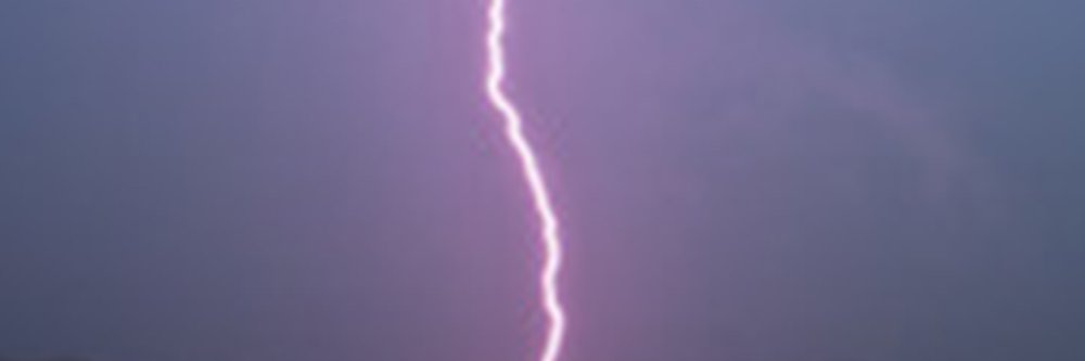 Rachel Gussel banner