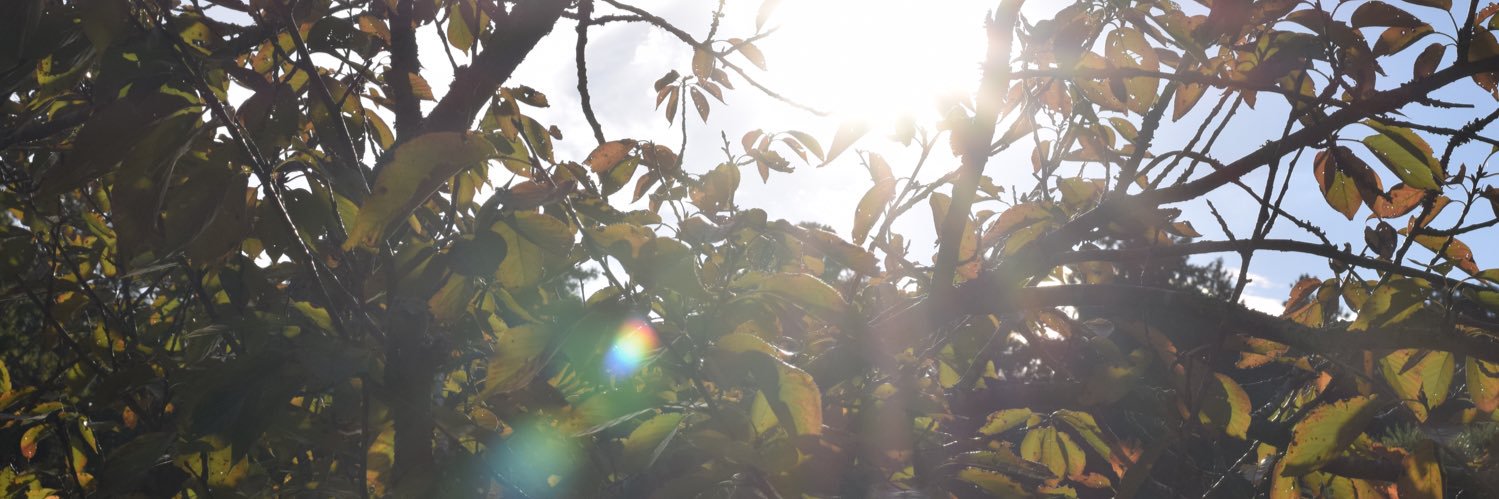 maryment_'s profile banner image