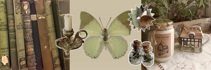 Zeaá banner