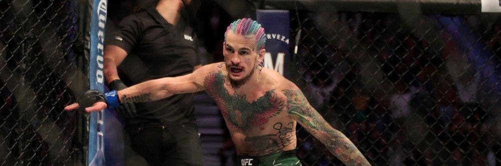 Meybell Hewitt banner