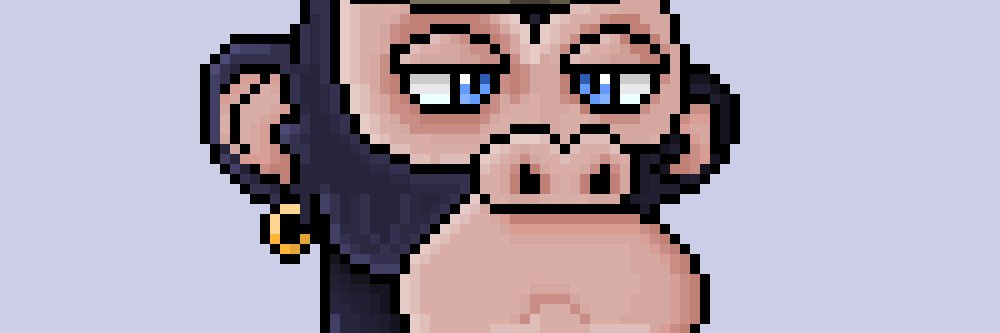 Brandy Cameron banner