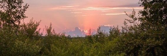 yua (55 proofs) banner