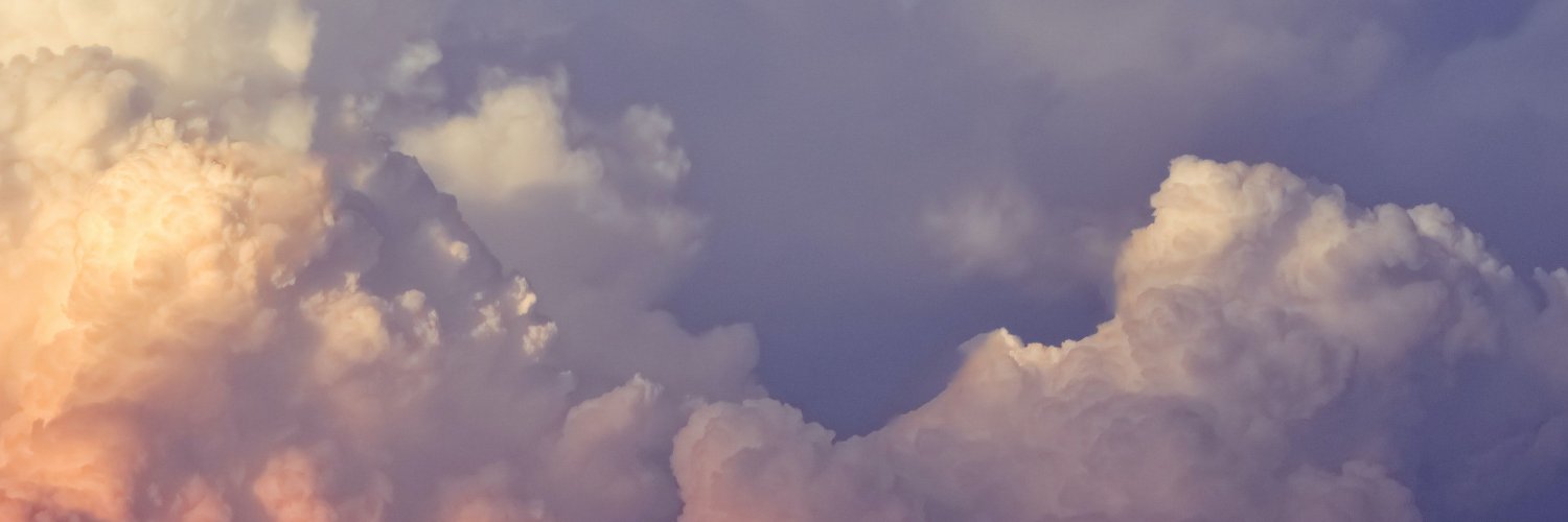 Chrysan28's profile banner image