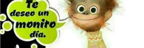 melirocy's profile banner image