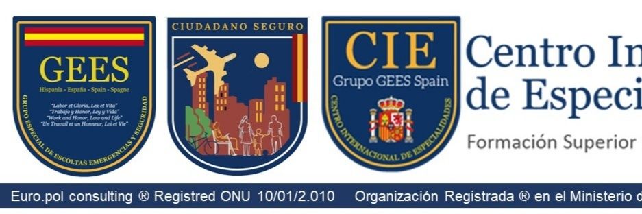 Grupo GEES Spain banner
