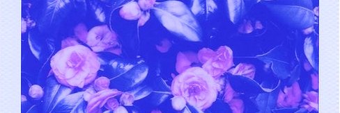 Shpoogen's profile banner image