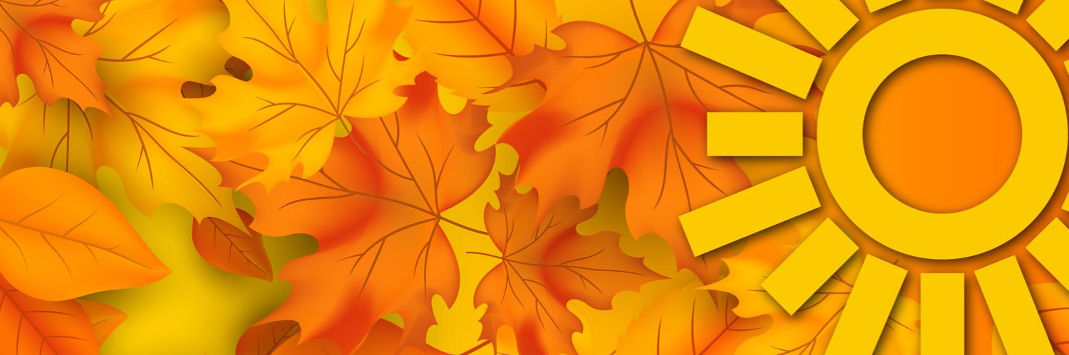 Tomás Basaldú banner