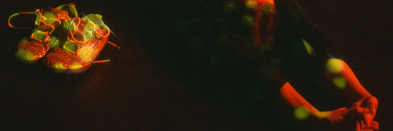 fuchsbeere's profile banner image