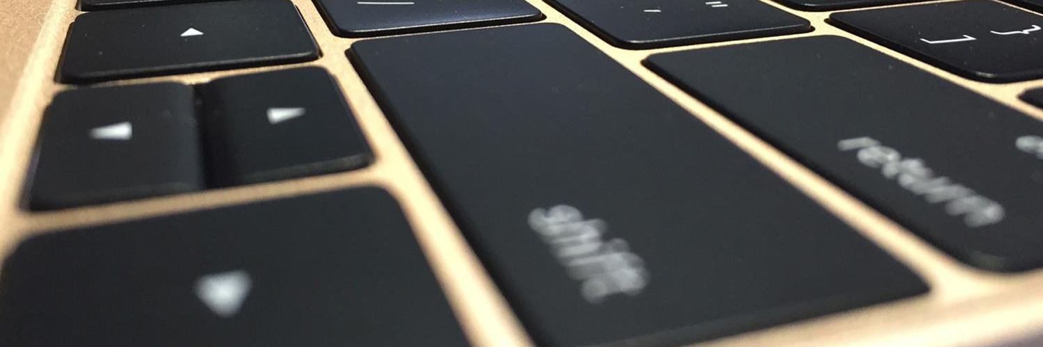 Flavio Guinsburg banner