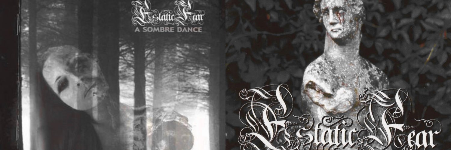 Кармила⁺‧₊˚ ཐི⋆♱⋆ཋྀ ˚₊‧⁺ banner