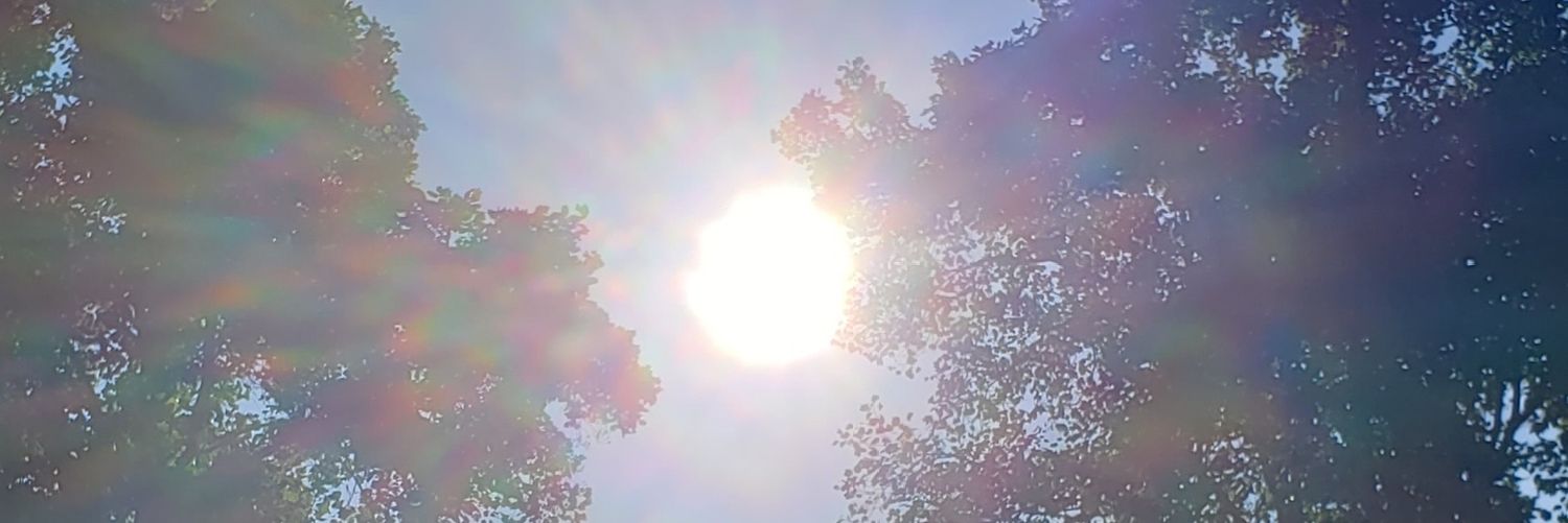 crescentmoon44's profile banner image