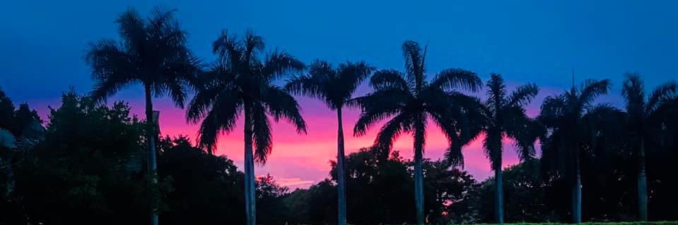 Juan Castillo 🐬 banner