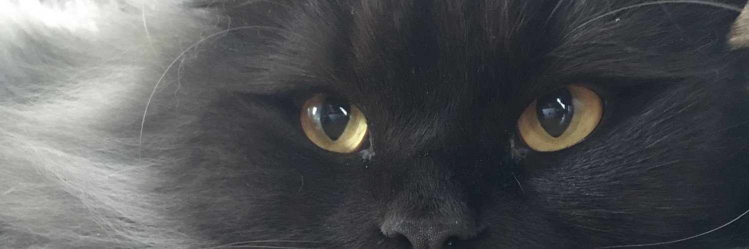 aslyapar5's profile banner image