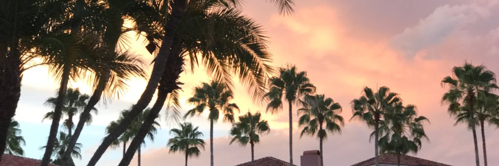 • Lexie • banner