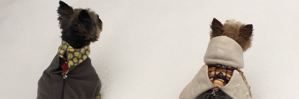 RockyYullI's profile banner image