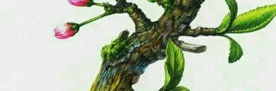 MPurmiasa's profile banner image