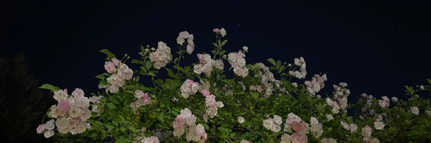 space_bbang's profile banner image