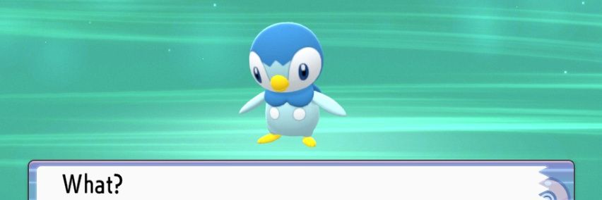 StoneSquidRec's profile banner image
