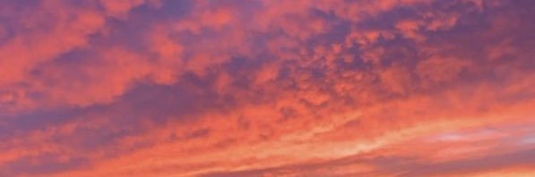 carliteee2's profile banner image