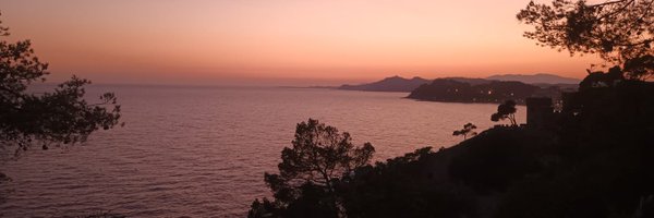 caguileragil Profile Banner