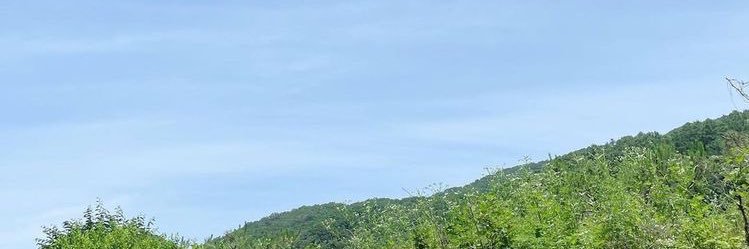 mayla banner