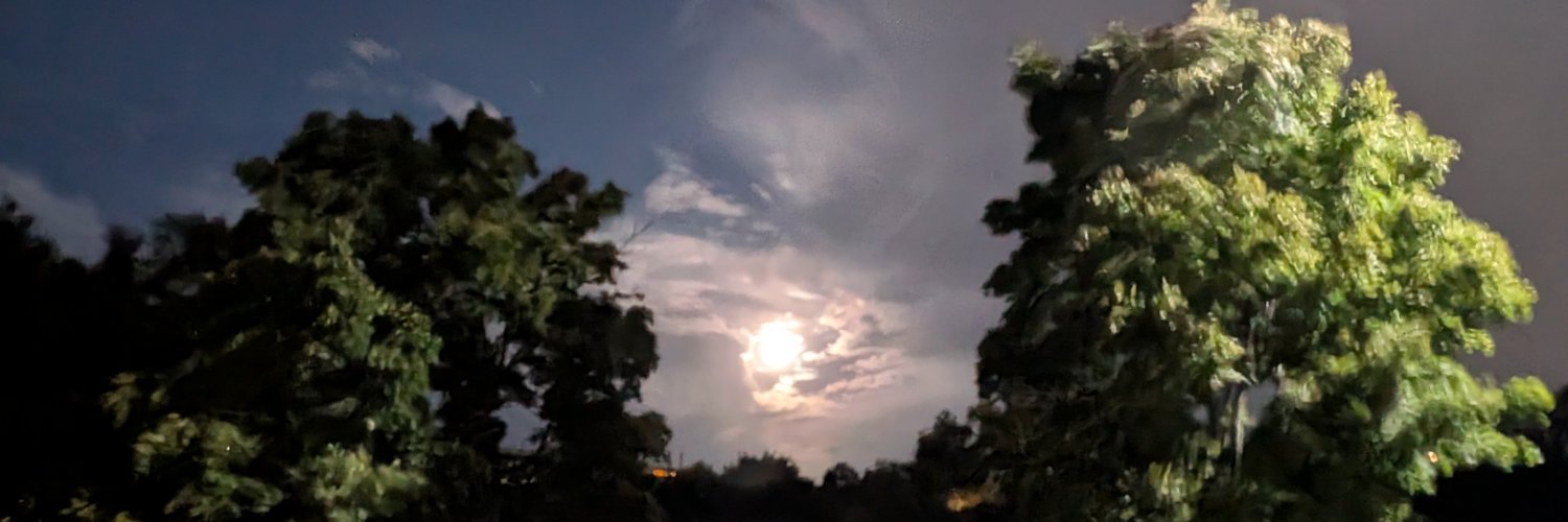 Sokolbie's profile banner image