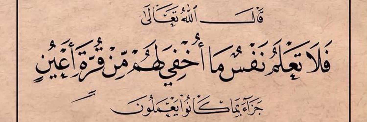 Hanan__z's profile banner image